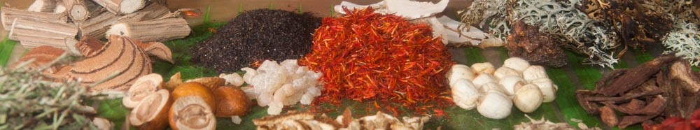 Médecine Traditionnelle Chinoise – Longfei